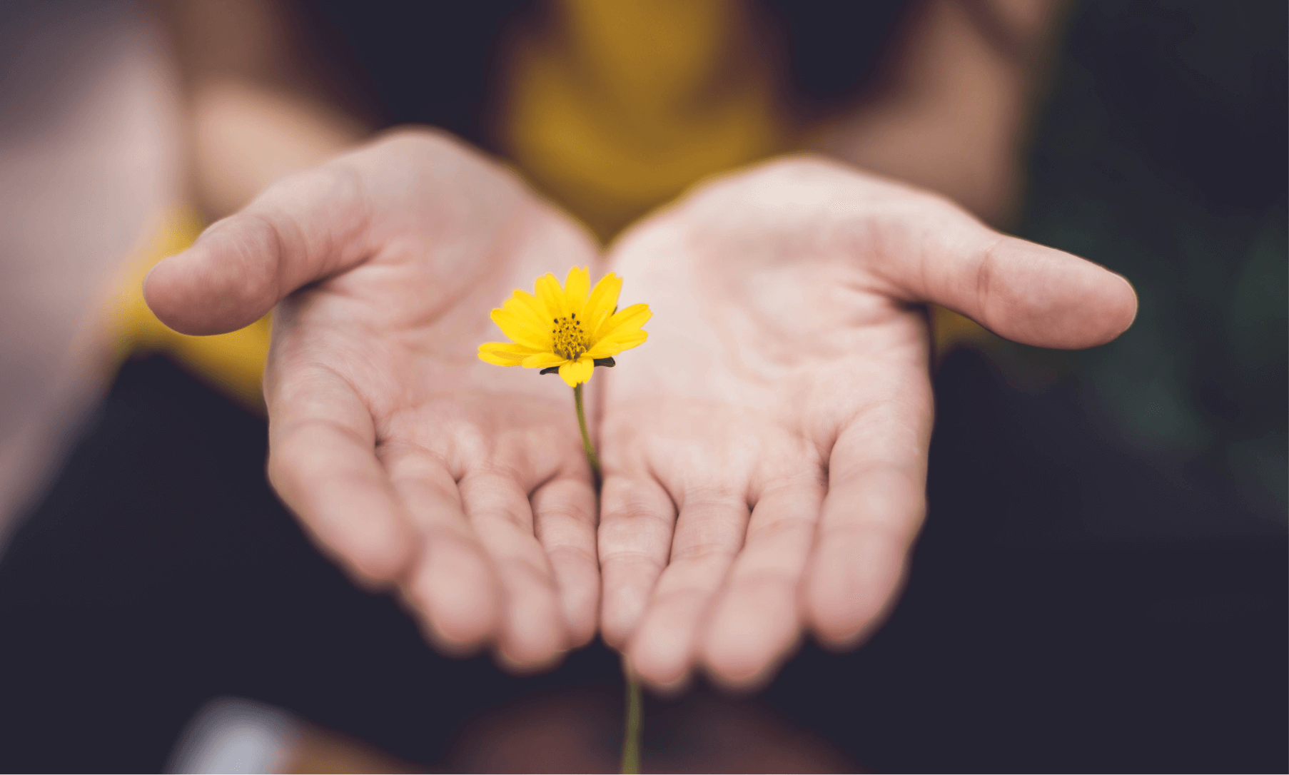 quienes-somos-header La empleabilidad de las personas