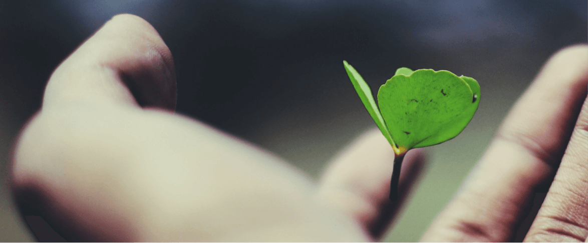 Código ético Triangle El valor de la experiencia